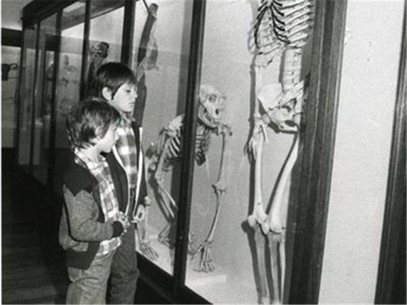 National Film and Sound Archive Ghost Tour