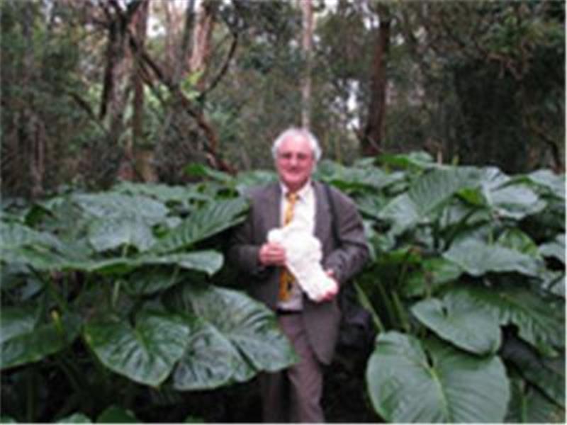 Yowie Tour
